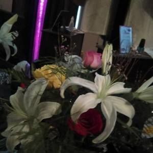 Meet your Posher, Vanessa